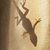Lee Savoy's profile image