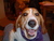 walli g.'s profile image
