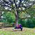 Cristopher Loreto Adorio's profile image