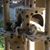 Emily Harley Bohlke's profile image