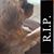 Kelli Jo Dean's profile image