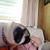Deborah Reid's profile image