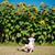 Catherine Sompayrac Giles's profile image