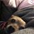 Dee Wieczorek Huck's profile image