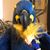 Fran Henriksen's profile image