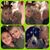 Dawn McFerren's profile image