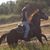 Elias Tannous's profile image