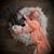 Lauren Schellhardt's profile image
