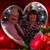 Paulette Schneider's profile image