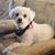 Heather Kaup's profile image