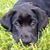 Cathy Bacon's profile image
