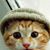 Steve Thomas's profile image