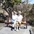 Jane Rausch's profile image