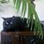 Luanne Johns EA's profile image