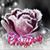 Linda Board Moore's profile image