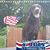 Dawn Miller's profile image