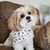 Michelle Colditz Weiland's profile image