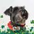 Kathy Ewald's profile image
