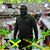 Mohan Clarke's profile image