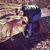 Sarah Lynn Calkins's profile image