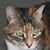 Annette Bean's profile image