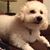 Lynn Edmunds Imai's profile image