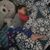 Kenberly Jean Garcia's profile image