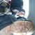 Bonita Kasee's profile image