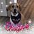 Carol Woynarowski's profile image