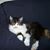 Susan Burroway's profile image