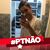 Guilherme Moura's profile image