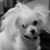 Katie Pepin's profile image
