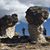 Pam Greenlaw's profile image