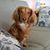 Merry Lynn Tallman's profile image