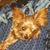 Jodi White's profile image