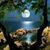 Lonnie D. Hall's profile image