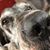 Peter Bresser's profile image