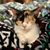 Nellie Edna Martinez's profile image
