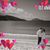 Kimberly Stephens's profile image