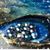 Gloria Livingston GC's profile image