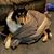 Liz Tilton's profile image