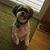 Barbara Gray's profile image