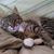 Daniel Gildner's profile image