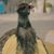 Tony Rochette's profile image