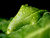 Mary A.'s profile image