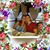Carrie Barringer-Ervin's profile image