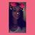 Brittany Paige's profile image