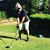 Gerardo Saravia's profile image