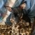 Glenda Gail Hardin's profile image