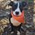 Kelly Richardson Niceley's profile image
